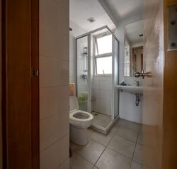 D'Lotus (D12), Apartment #558992701